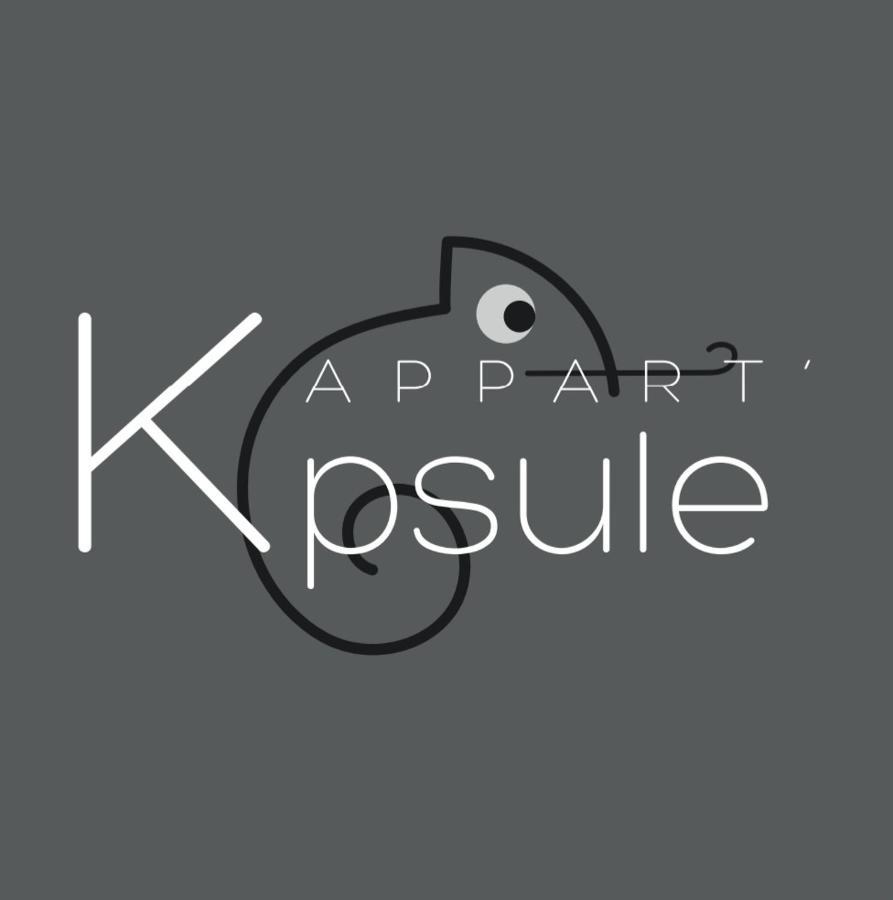 L'Appart K-Psule - Design, Tout Confort, Centre-Ville, 3 Pers Le Mans Eksteriør bilde